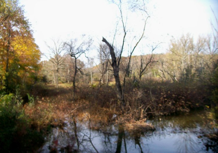 Ballston Lake A river ran through it The Altamont Enterprise